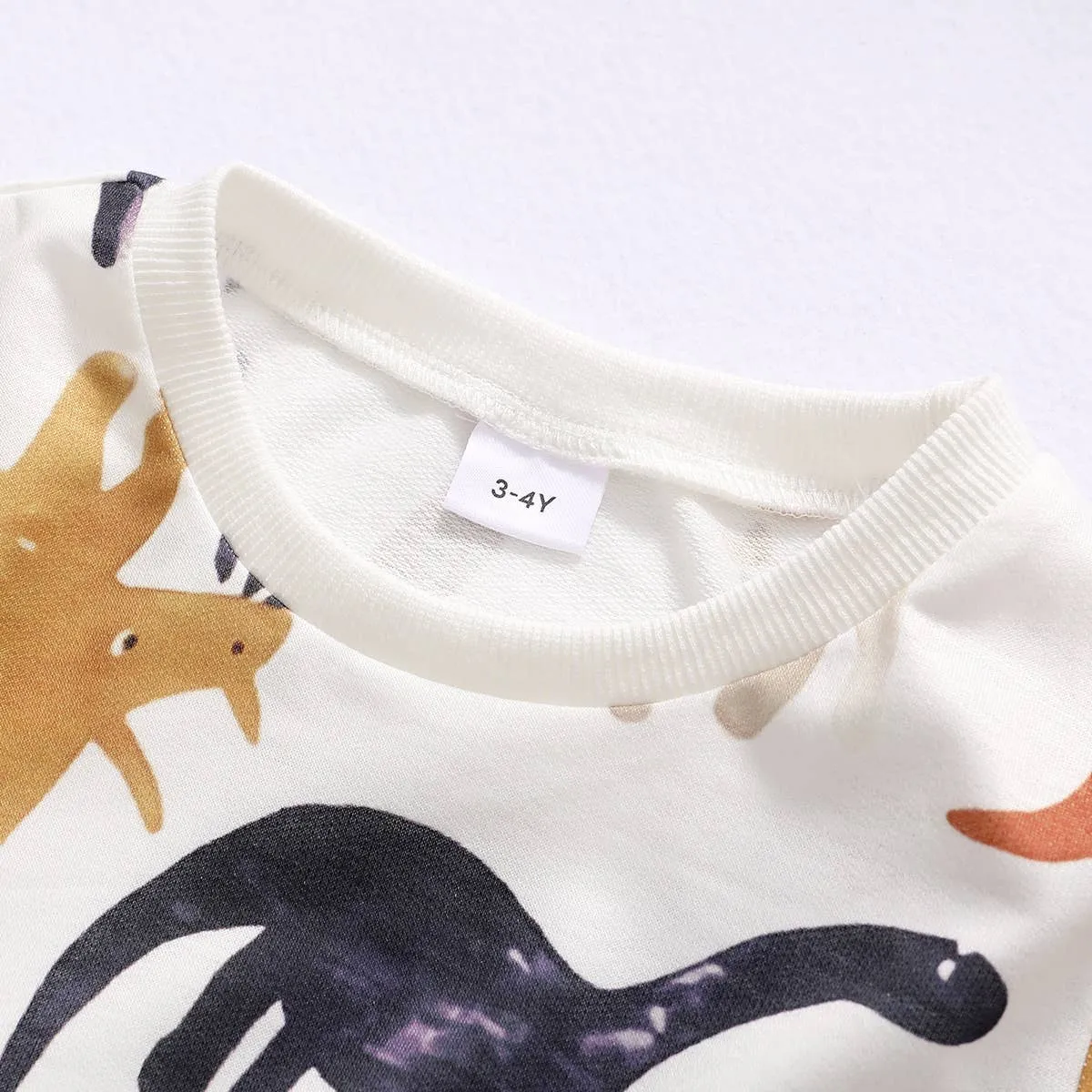 Baby Boy Cartoon Dinosaur Sweatshirt