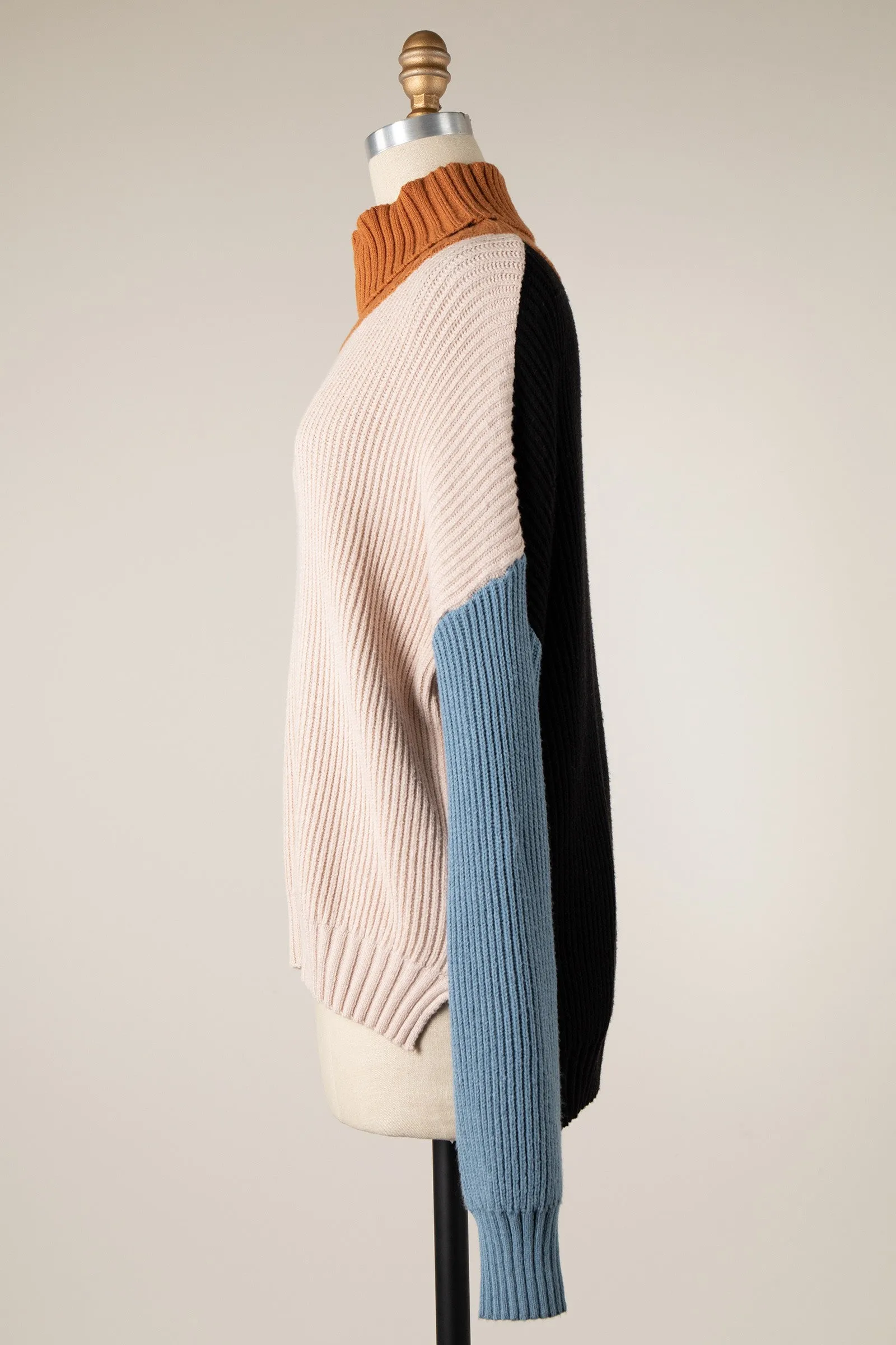 COLOR BLOCK TURTLENECK SWEATER 1 PACK