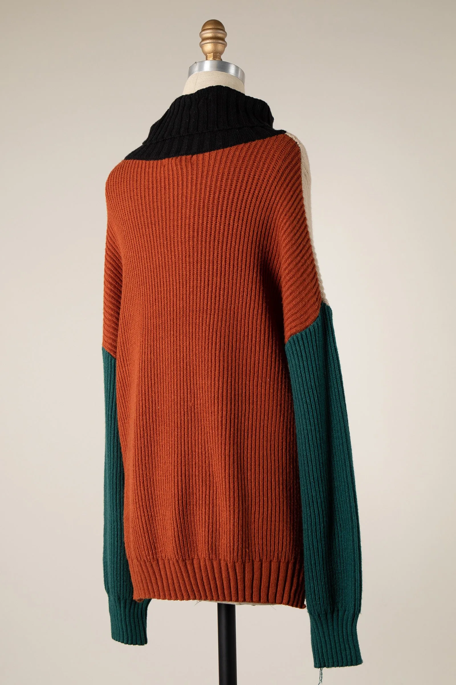 COLOR BLOCK TURTLENECK SWEATER 1 PACK