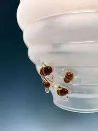 Glass Beehive Pendant Lamp by Sage Churchill-Foster, Sage Studios