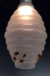 Glass Beehive Pendant Lamp by Sage Churchill-Foster, Sage Studios