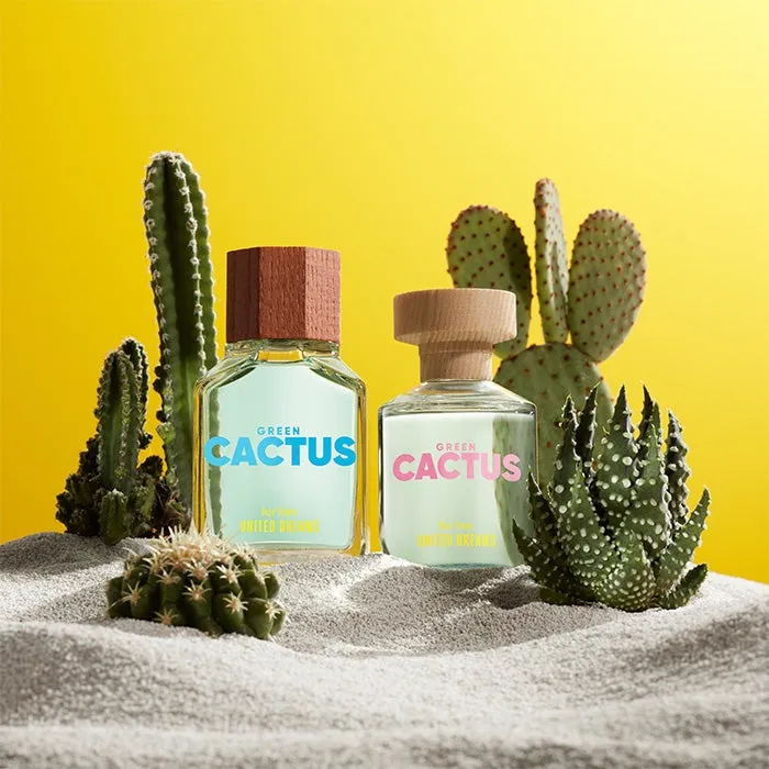 GREEN CACTUS FOR HIM