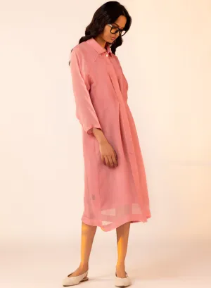 Rose Sheer Dress