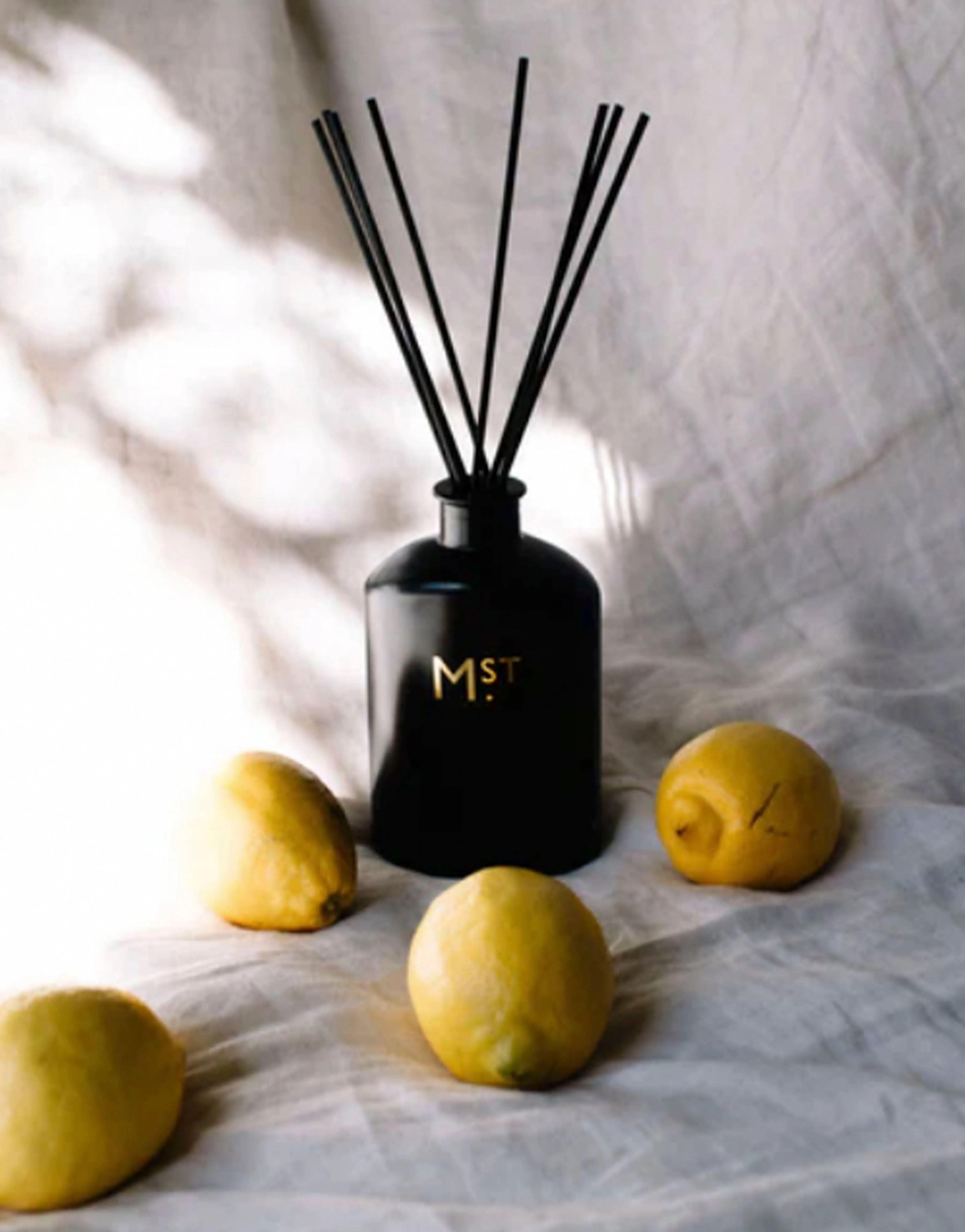Sage & Cedar Fragrance Diffuser