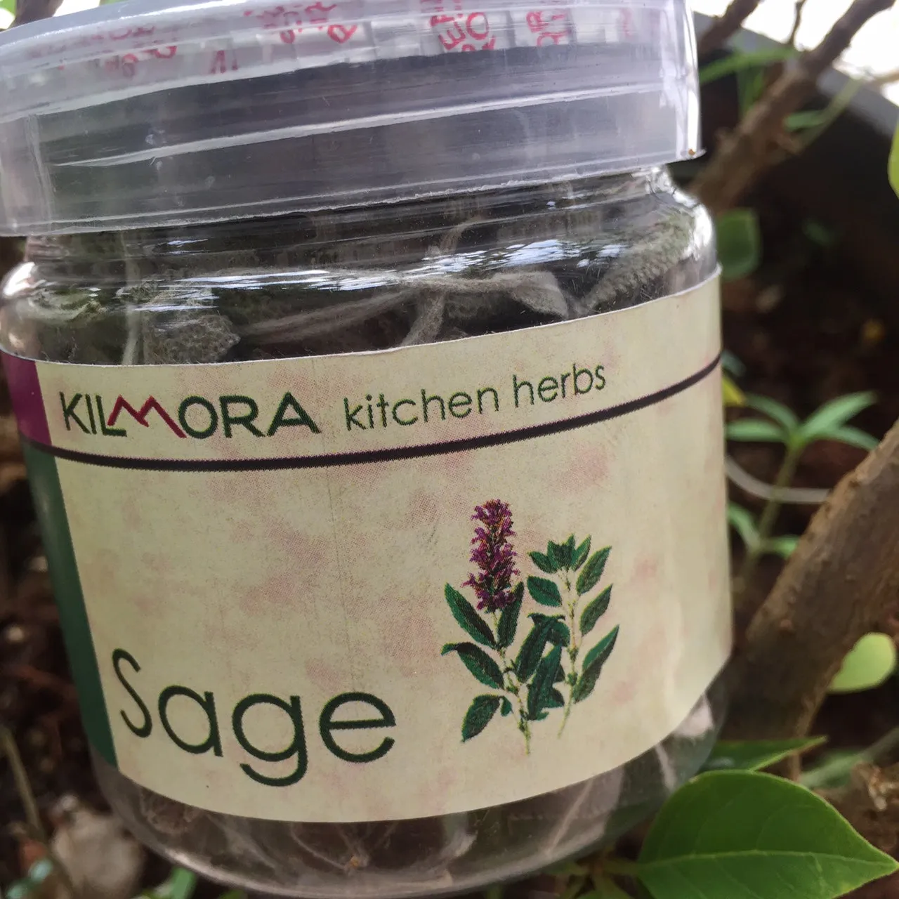 Sage