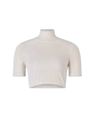 Semi-Sheer Turtleneck Crop Top