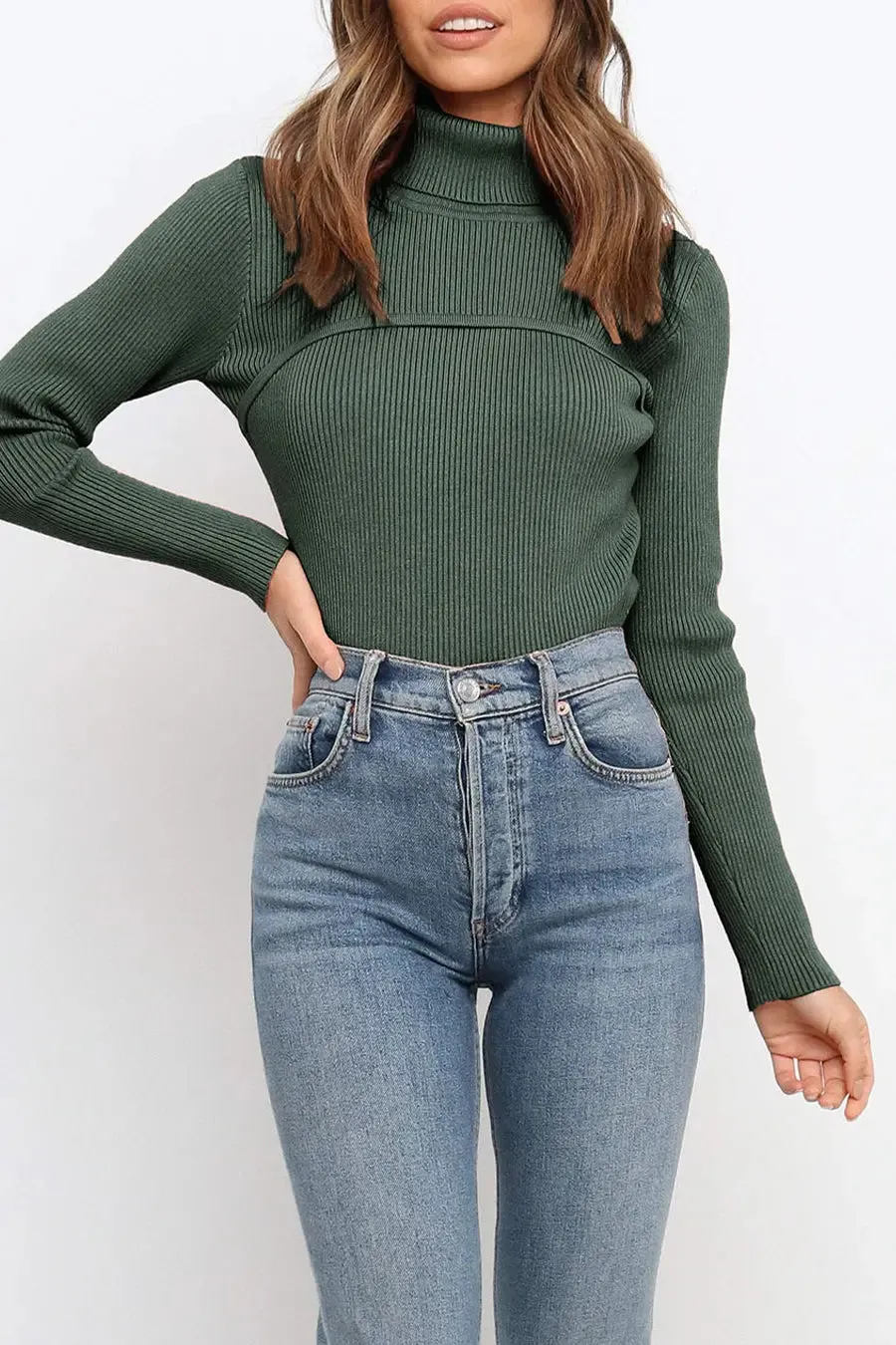Turtleneck Bodycon Long Sleeves Knit  Sweater