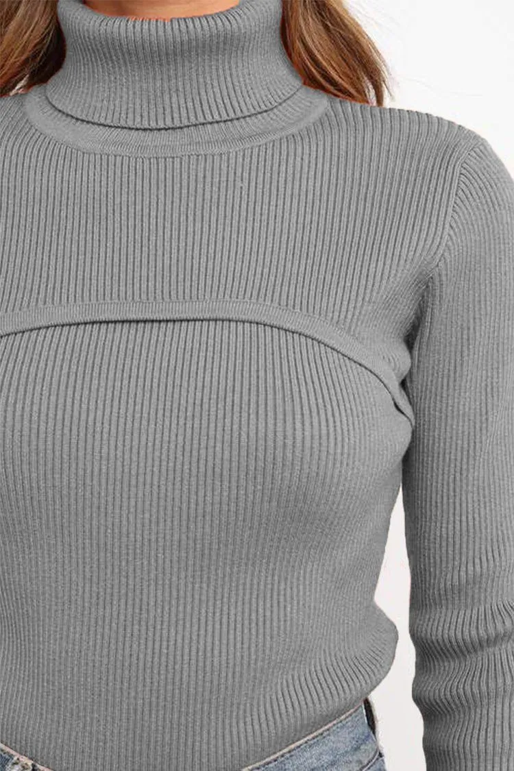Turtleneck Bodycon Long Sleeves Knit  Sweater