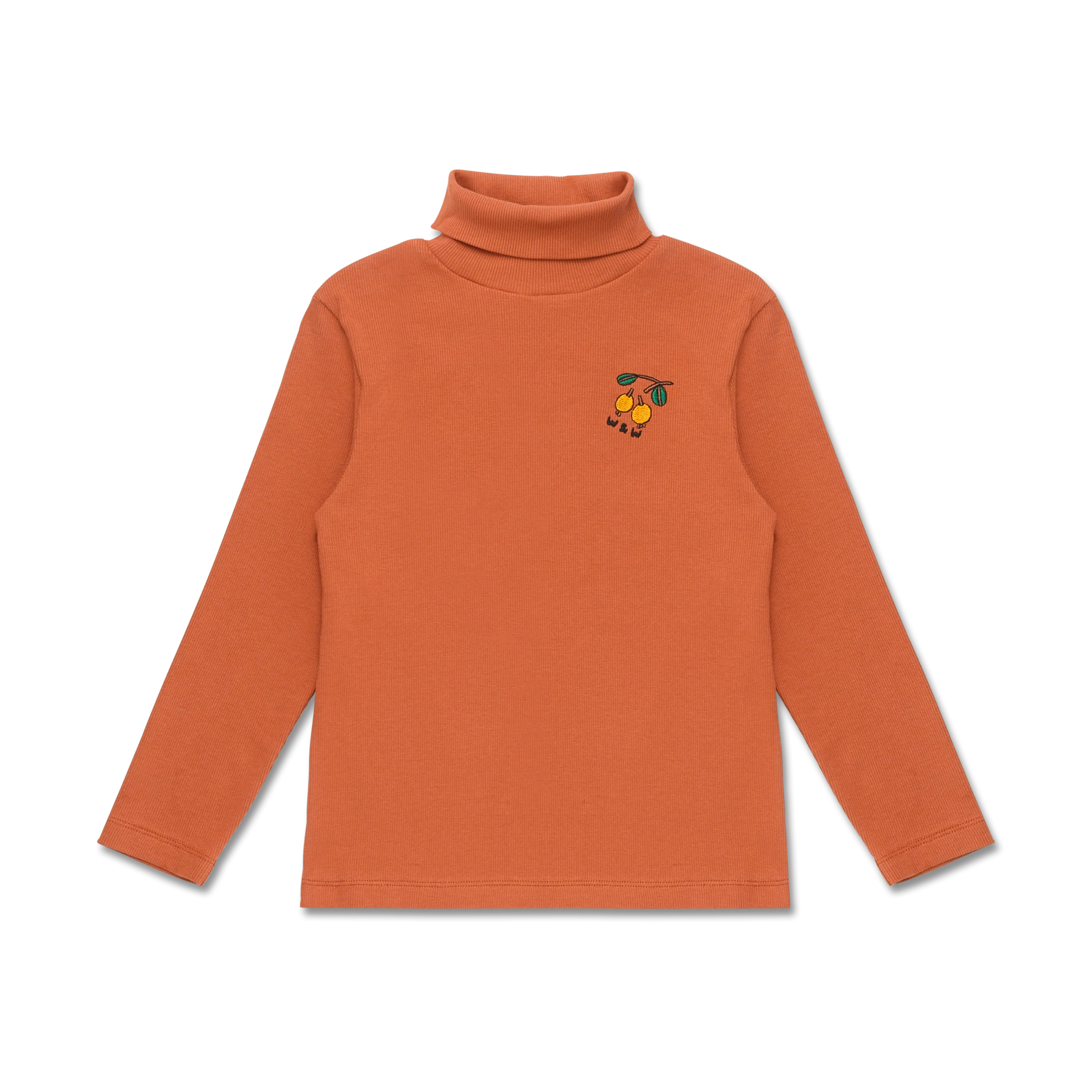 Wander   Wonder Terra Cotta Rib Turtleneck