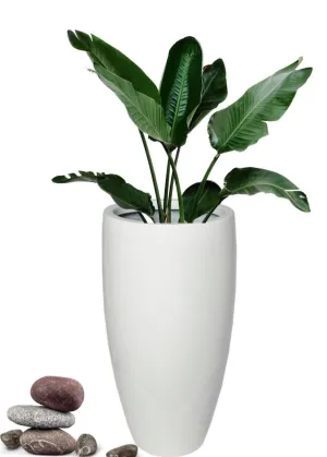 White Tall Fibre Planter CCN -02